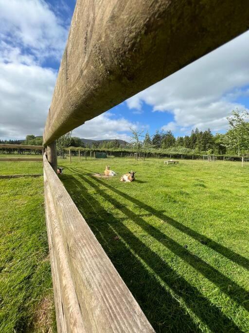 Herdmans Hideaway Brecon Exterior foto